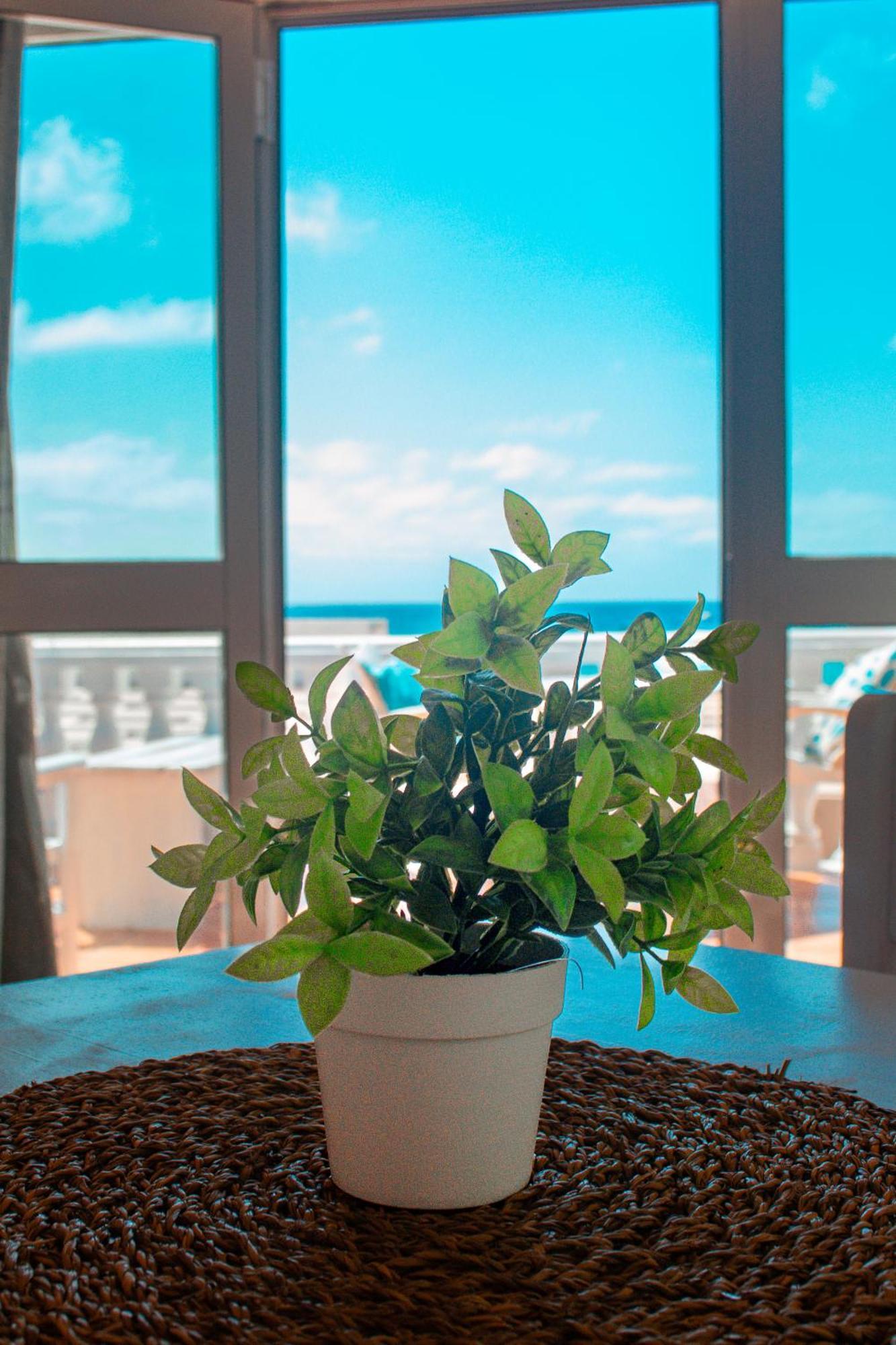 Vista Mar - Seafront Holiday Apartments Santa Maria Exterior foto